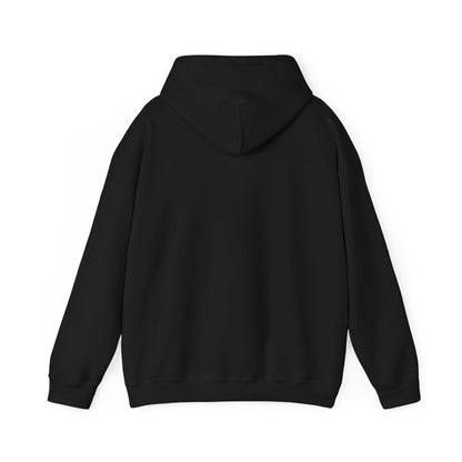 Do Not Disturb Cat Hoodie